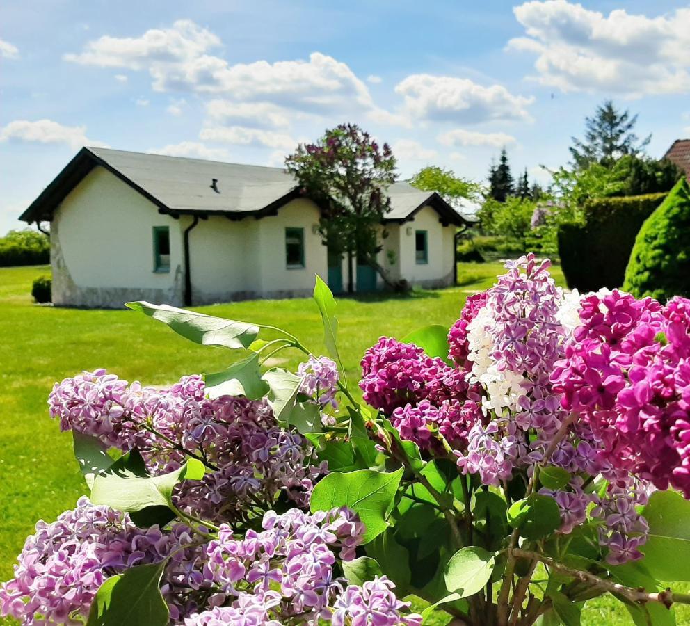 Pension Landhaus Teichgraf ヴォルガスト エクステリア 写真